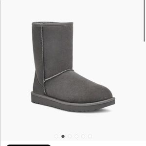 Classic Short II Ugg boots in gray